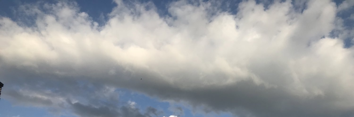 Ché 𖤐❥✞ banner