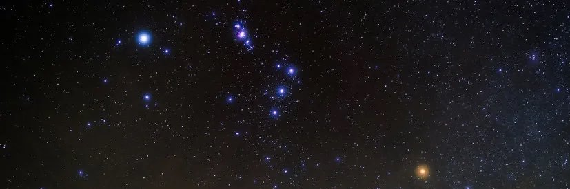 Brandon ॐ banner