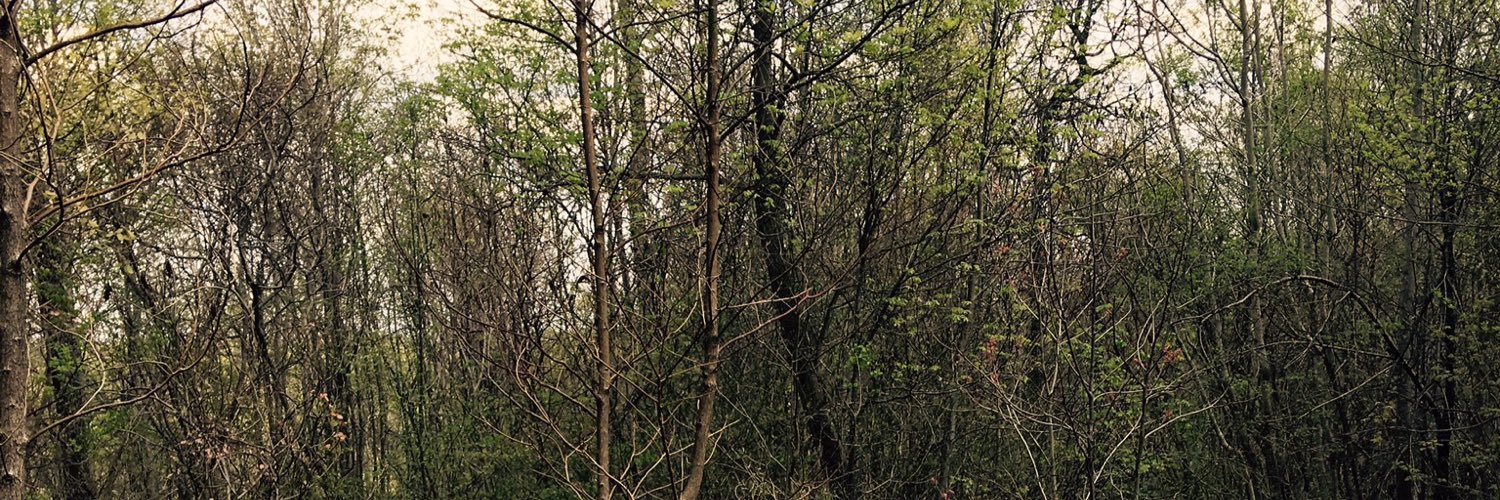 AyeOutThere's profile banner image