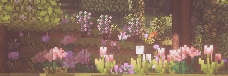 berleides's profile banner image