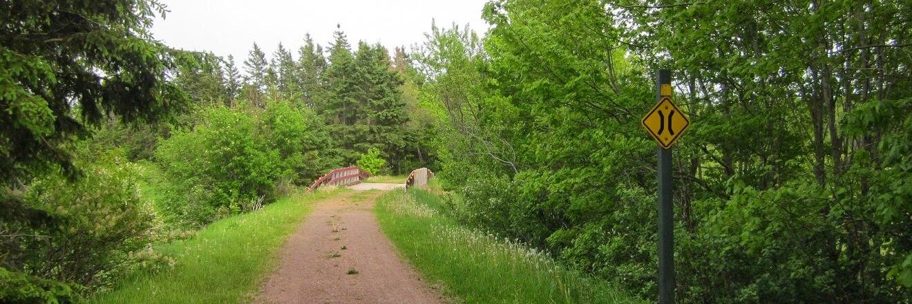 pedalingpei's profile banner image