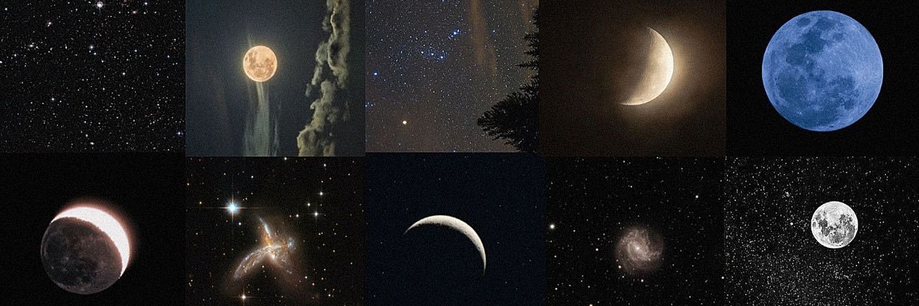 bosartemis's profile banner image