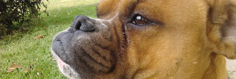 danisrz5's profile banner image