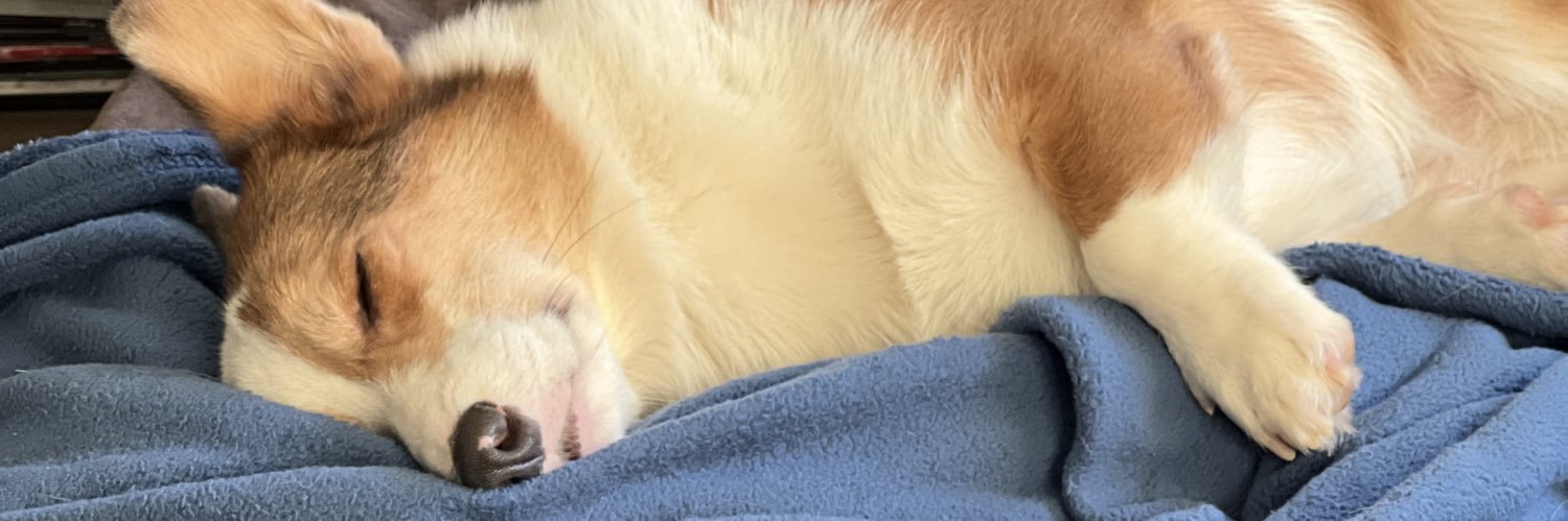 jerichoso's profile banner image