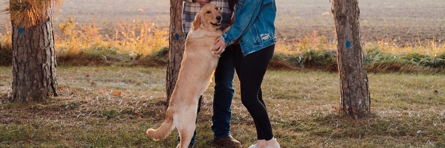 jennnlich's profile banner image