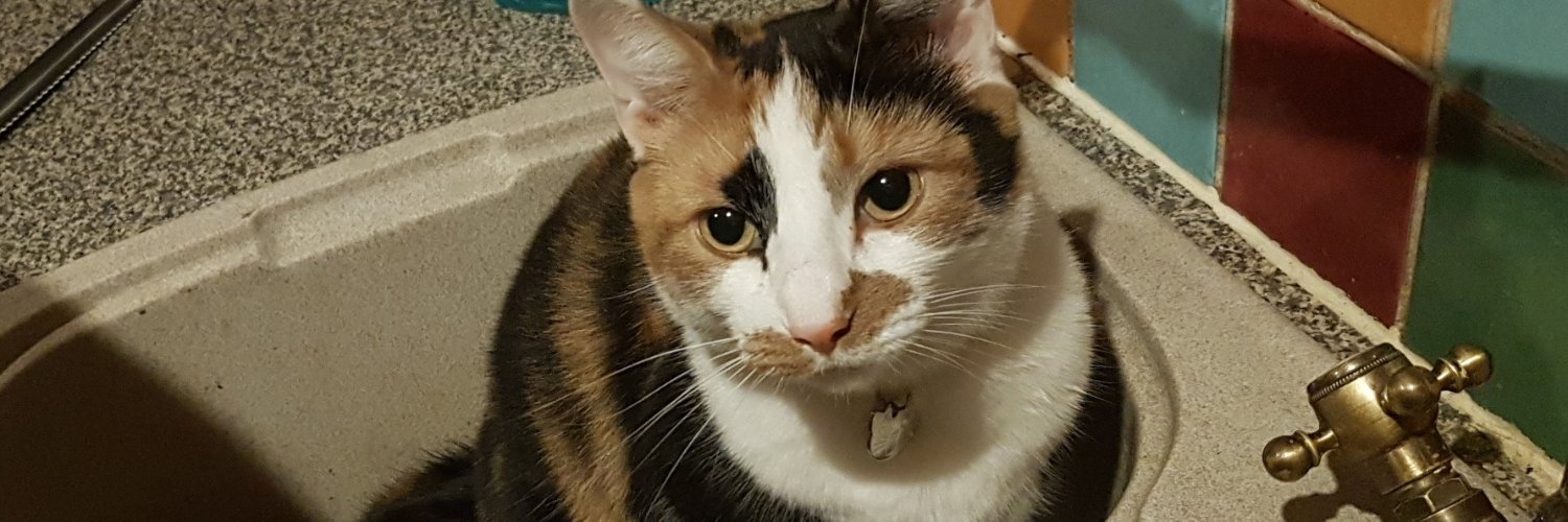 BillyRayWren's profile banner image