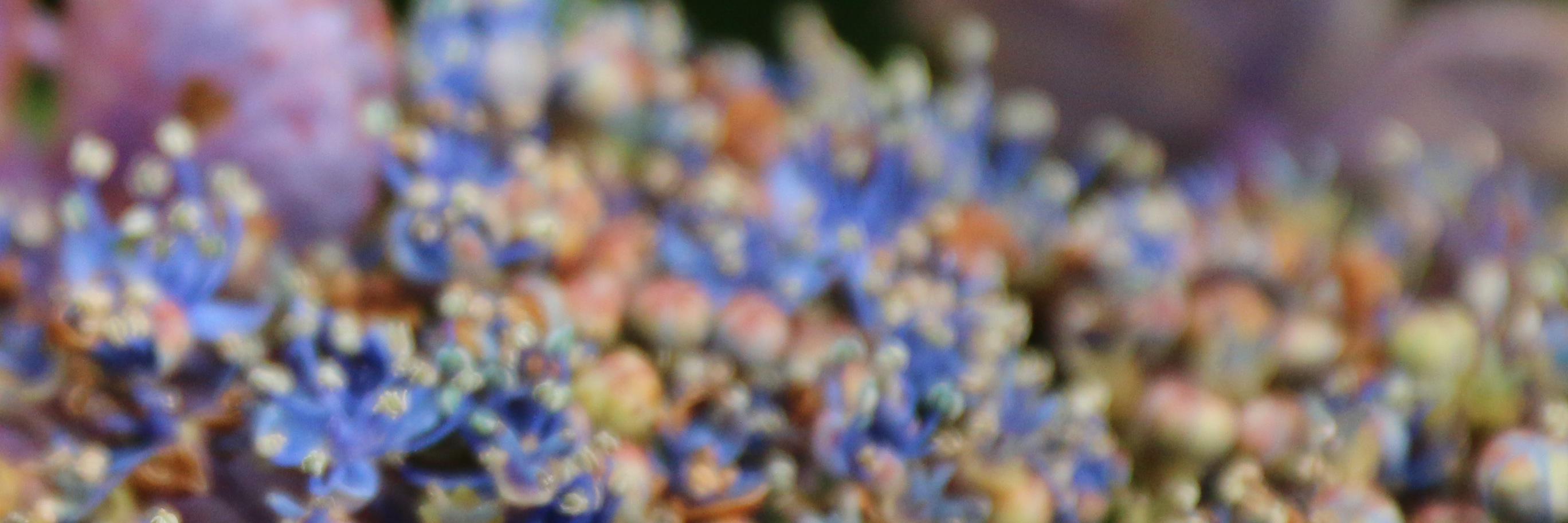emari's profile banner image