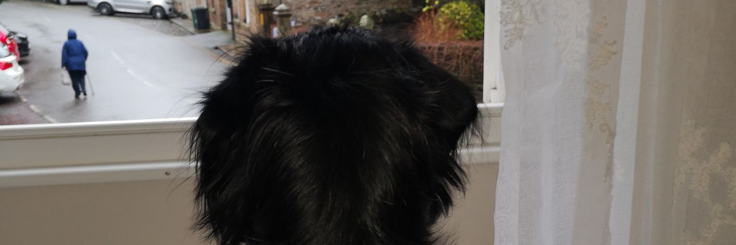 jaapthedog's profile banner image