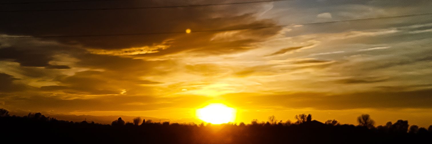 ThatLaamGuy's profile banner image