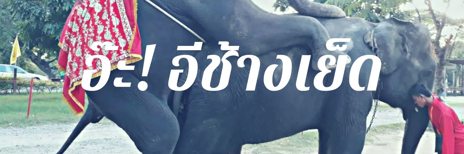 ahhedokkk's profile banner image