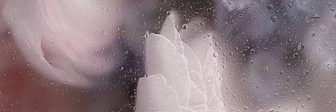 rabbcha_'s profile banner image