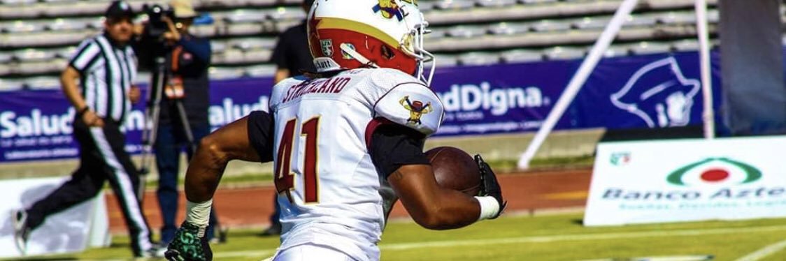 STRICKLYWORK SPORTS 🏈🙅🏾‍♂️ banner