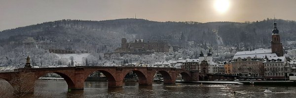 DavidRGhasemi1 Profile Banner