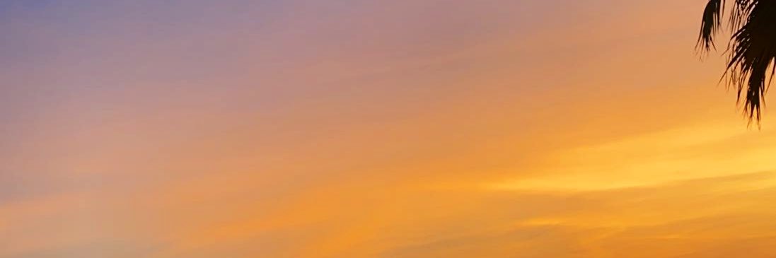 _Alooy_1's profile banner image