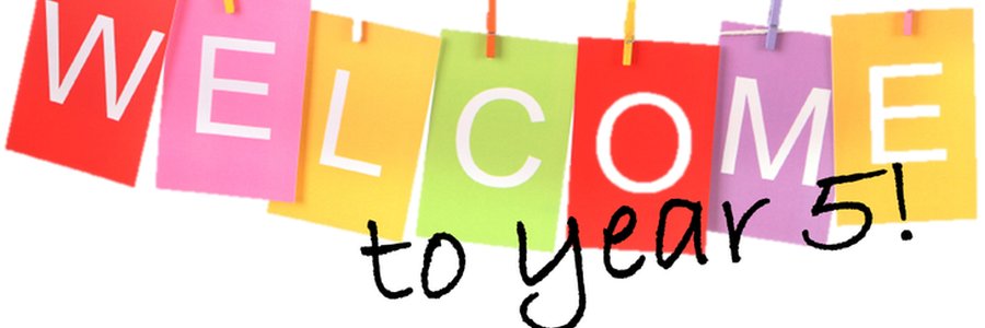 SJFYear5 banner