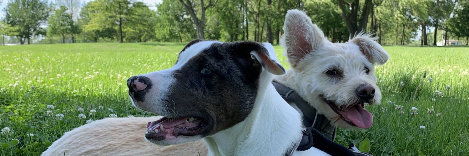 ⟨𝗰𝗵𝗿𝗶𝘀𝘁𝗶𝗮𝗻⟩ banner