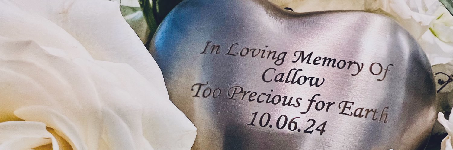 TanishaCoops's profile banner image