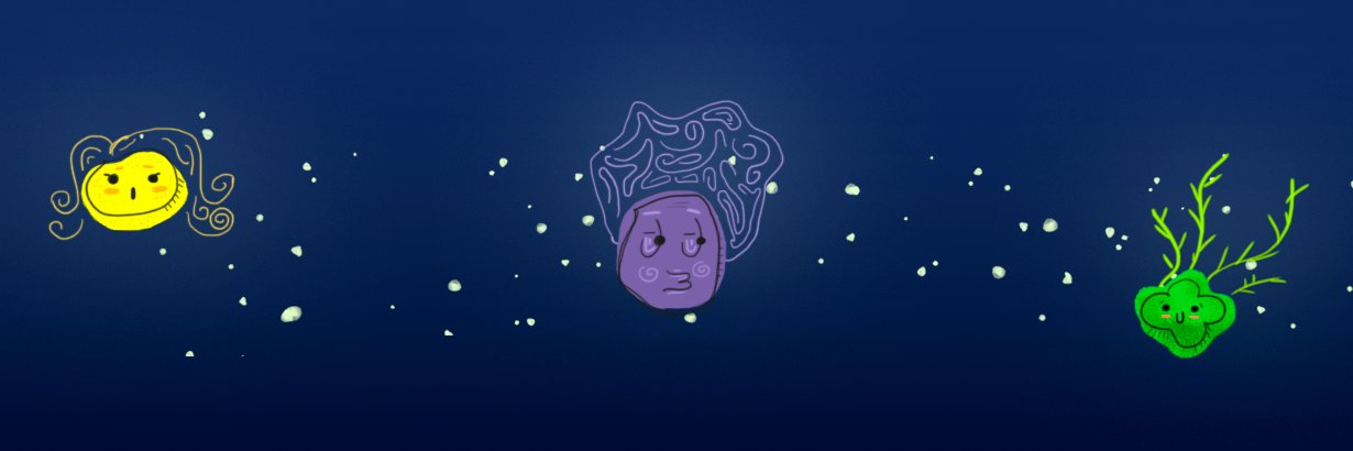 ca4tor's profile banner image