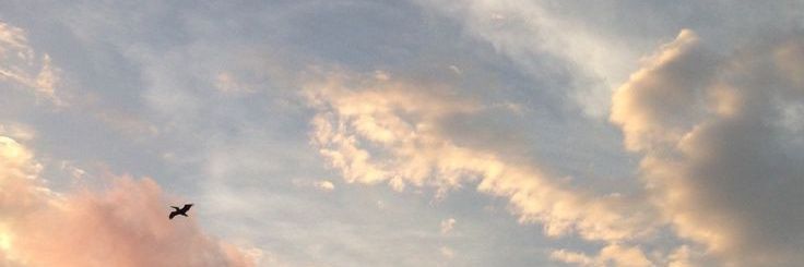 📚 banner