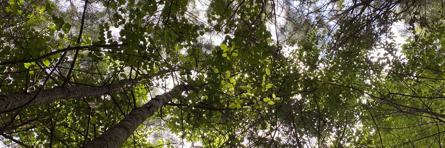 Devindra Hardawar banner