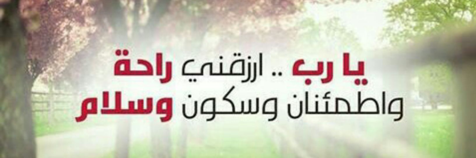 yayahbb's profile banner image