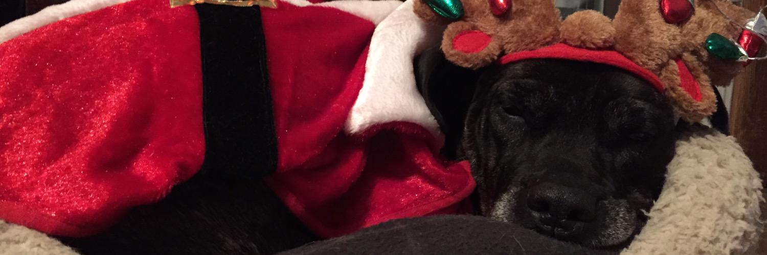 Sheapuff's profile banner image