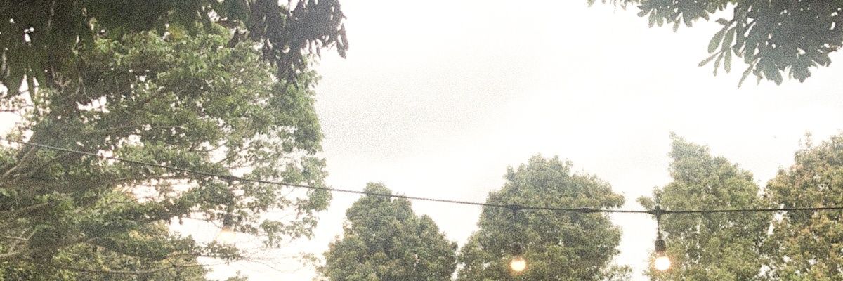 29dnd's profile banner image
