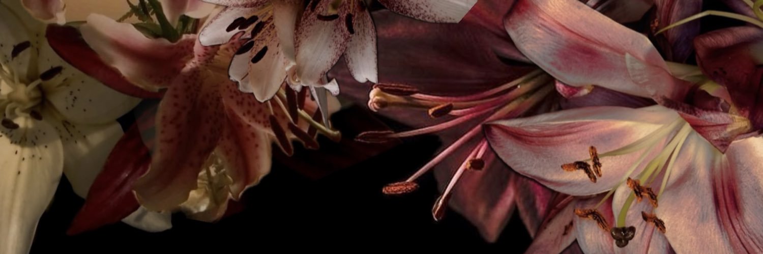 MidoriGr1's profile banner image