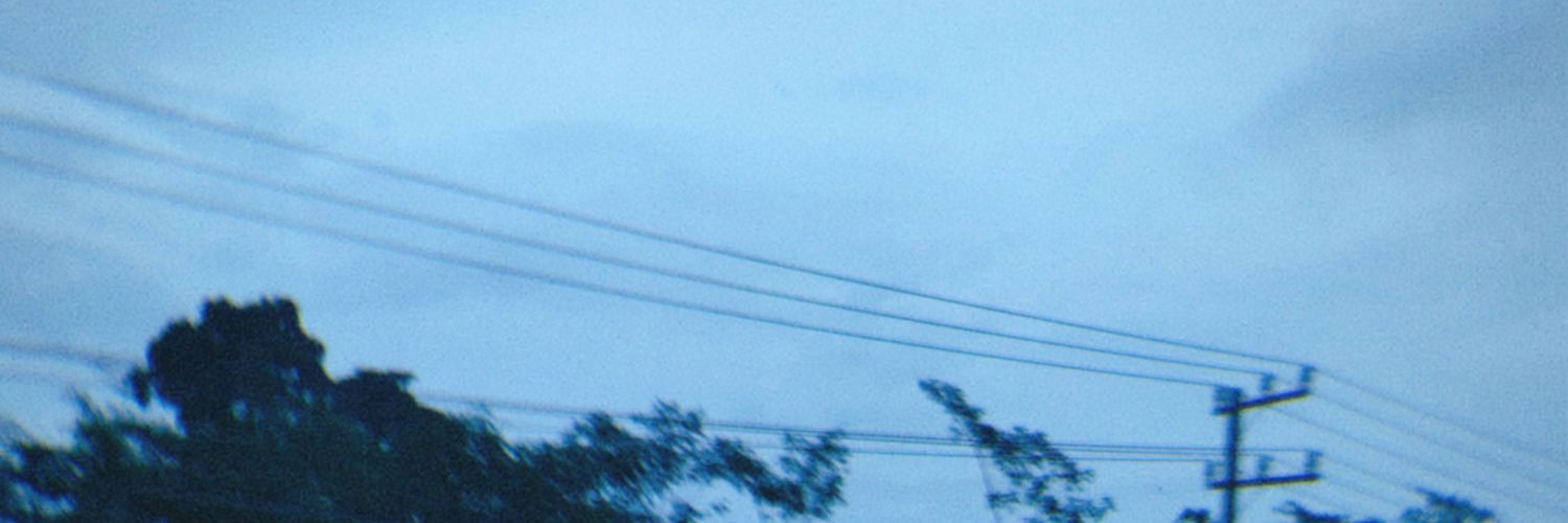 Madzino banner