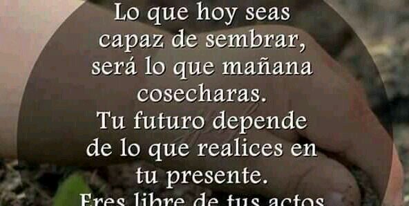 sandra_sequera's profile banner image