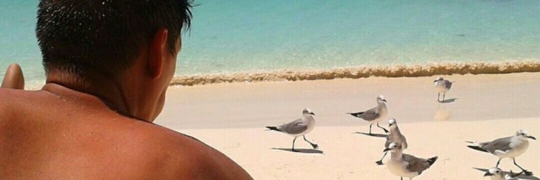 gerardobtorres's profile banner image