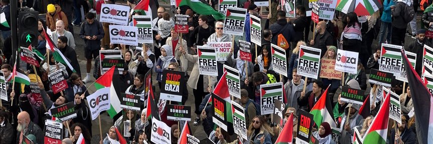 frank brazil 🇵🇸 banner
