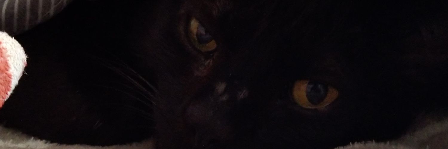 AnnySenna's profile banner image