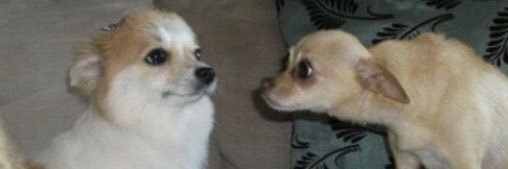 _michelaa's profile banner image