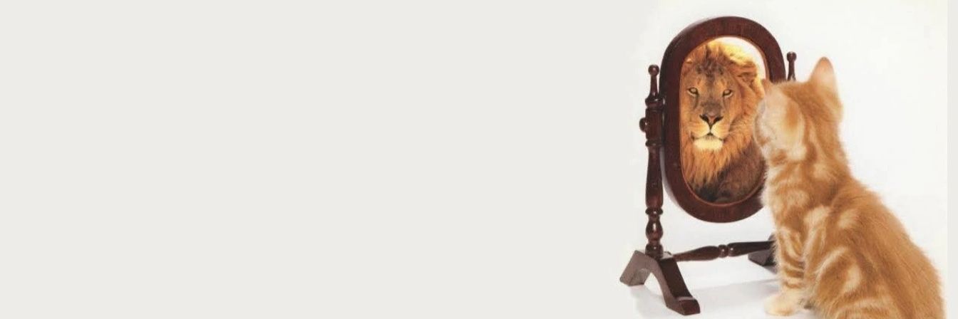 Lóbulo frontal en desarollo banner