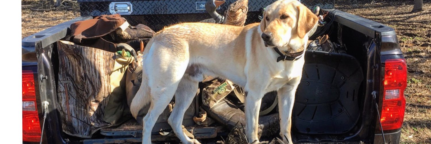 Steele Netterville banner