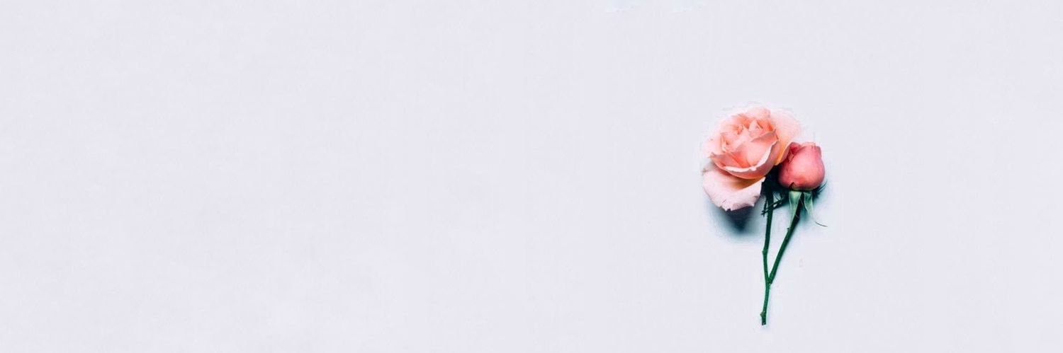 vebenhatice's profile banner image