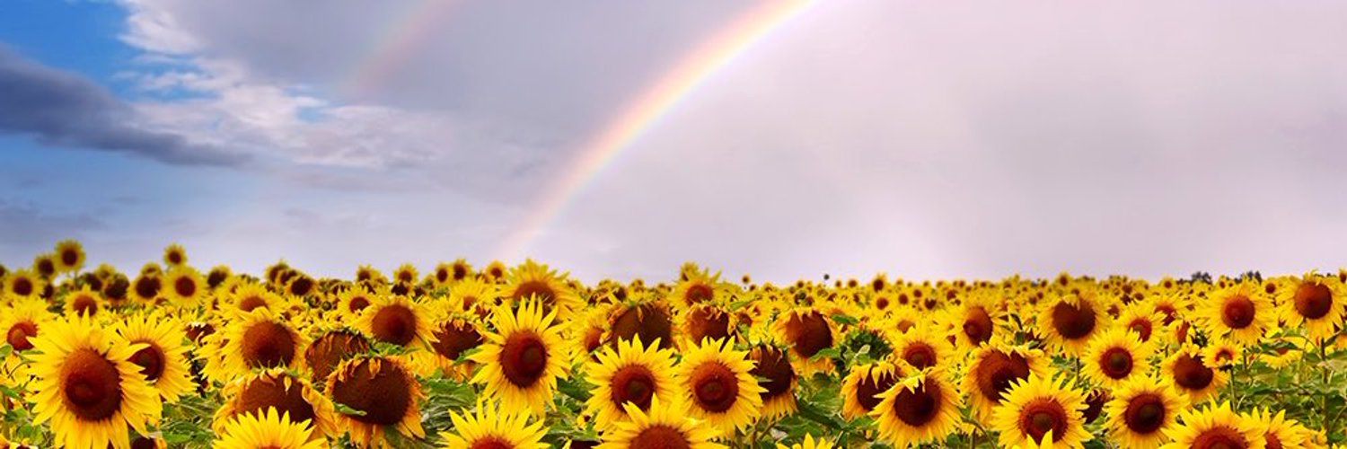 maga0717's profile banner image