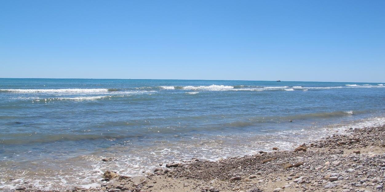 Janneth Colindres banner