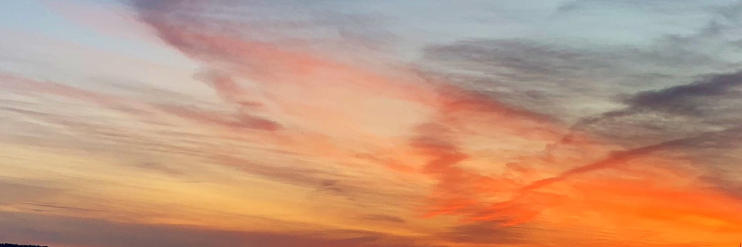 Proper Zen banner