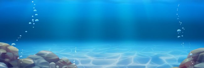 Liz 🐬 banner