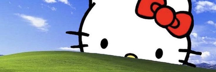 susu 💭 banner