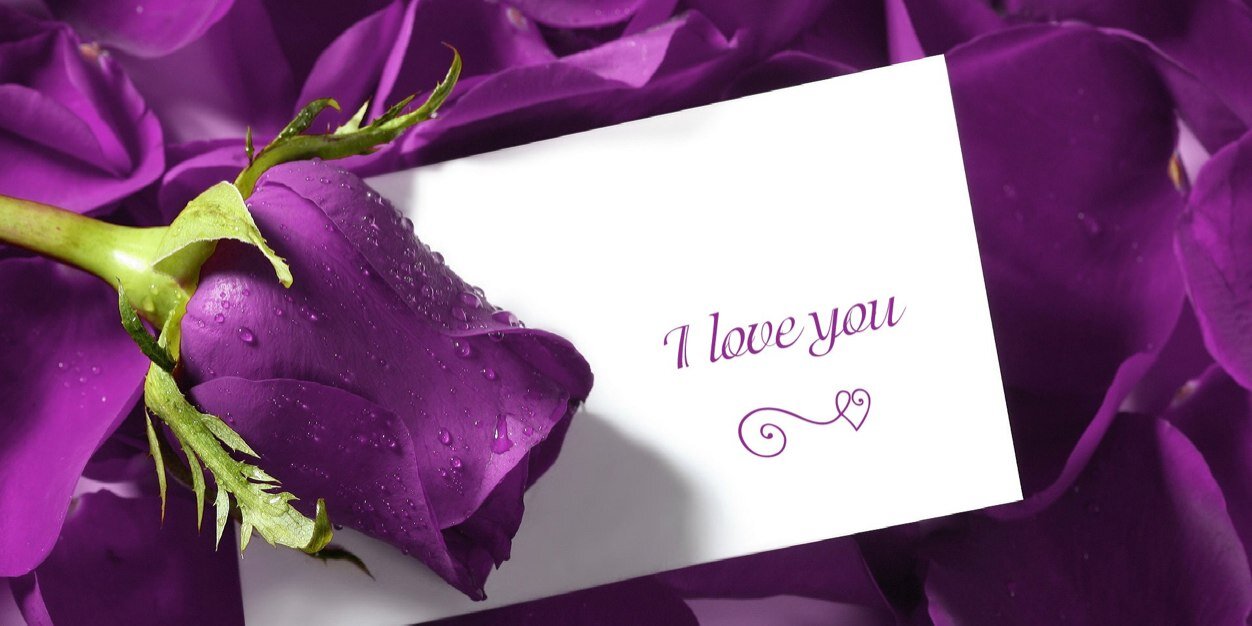Anna9494's profile banner image
