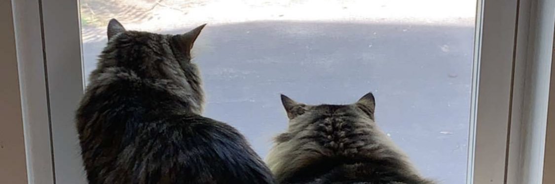 2white2beblack's profile banner image