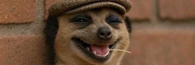 Funny home😂😆😅🤣 banner