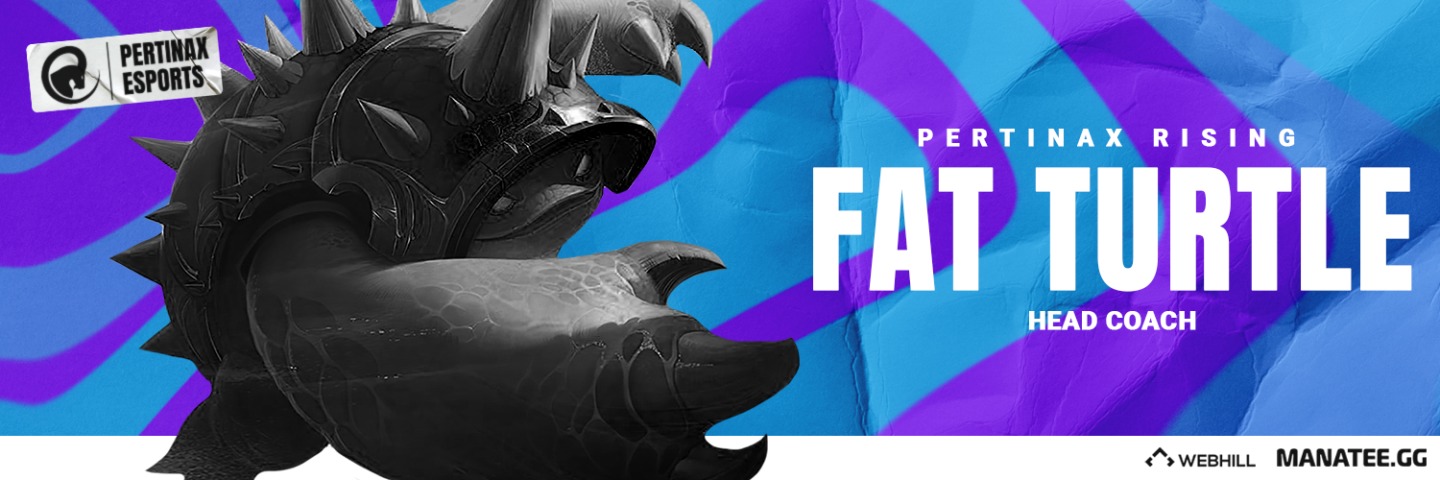 Fat Turtle (Sam) banner