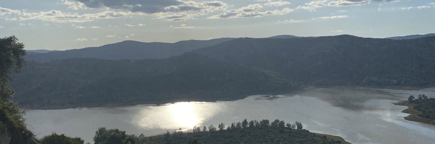 laopovida's profile banner image