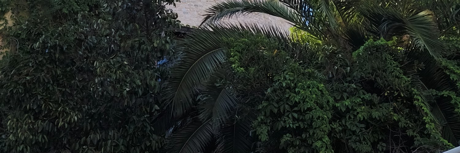 Direnyrm's profile banner image