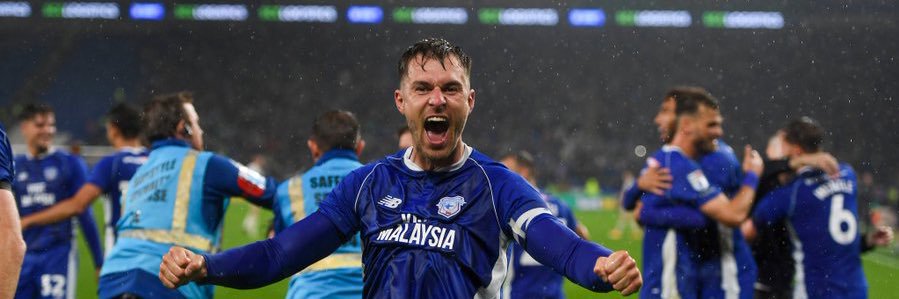 The Bluebirds Podcast banner
