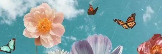 amilllie_'s profile banner image